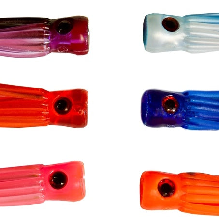 SQUID NATION