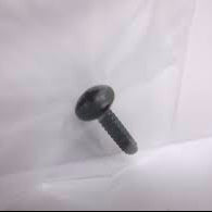 SIDE PLATE SCREW TGT0081