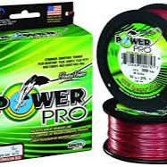 PPRO SPECTRA 50# 300 YEL