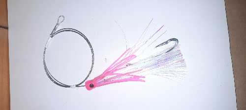 QUID NATION WAHOO RIG